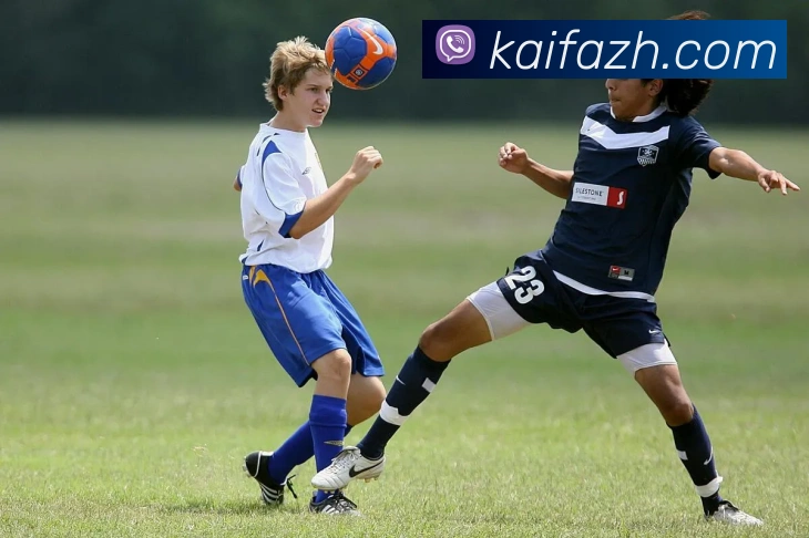 凯发K8平台生态图